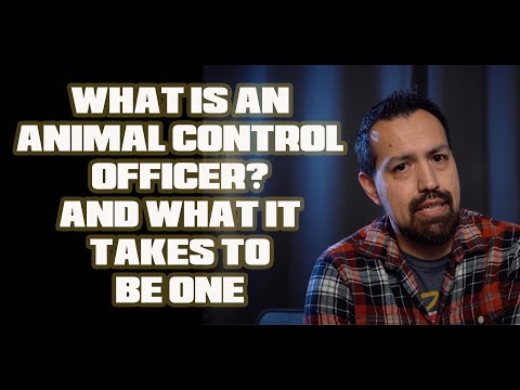 Where do animal control officers make the most money?