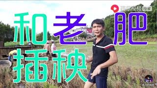 【農人DJ楓楓】枫枫和老肥插秧种田，被包围在田中间的枫枫蒙圈了，这下笑死人了