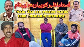 ustad Azhar Ko payare bhara pagam😍// main Zaheer pigeon vlogs