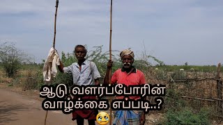 ஆடு வளர்ப்பு மற்றும் அவர்களது வாழ்க்கை