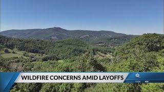 Amid federal layoffs, the NC Forest Service worries about its potential impacts across the state