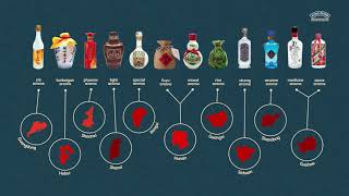 Baijiu - What is it made from and where does it come from?