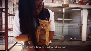 Promoting SPCA Penang Adoption