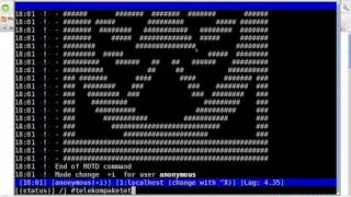 Telecomix i2p Tutorial