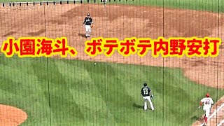 20220515 カープ小園海斗、ボテボテ内野安打！(5回裏)