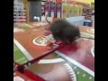 Hazzzzk, is that real? (Fake rat in a store) -Vine