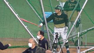 オリックス吉田正尚選手 試合前打撃練習で柵越え連発！絶好調2022.10.29