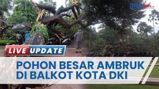 Dua Anggota Polisi Alami Luka Berat Akibat Tertimpa Pohon di Halaman Balai Kota DKI Jakarta