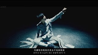 [韓中字幕] TAEMIN(태민/泰民) - Flame of Love (Korean Ver.)