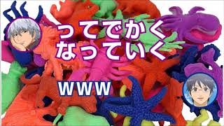 【銀魂文字起こし】黒子テツヤの怖いものって？意外にも怖がりな賢章くんｗｗ