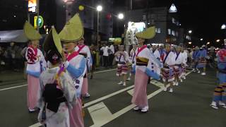 2017南越谷阿波踊り　阿波踊り飛舞枝　流し3