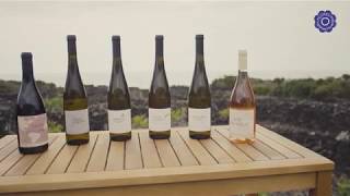 Mundo Marca Açores - Azores Wine Company (english subtitles)