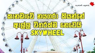 කැනඩාවේ නයගරා SkyWheel | කැනඩාවේ අපි @canadaweyaluwek