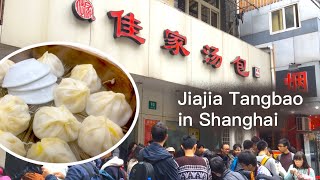 Shanghai Jiajia Tangbao, International Hotel Butterfly Crisp, Wukang Street, Lao Zhang Beef Noodles!