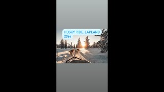 POV - HUSKY RIDE IN LAPLAND (2024)