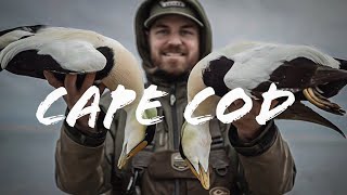 Epic Duck Hunting | Cape Cod Eiders