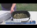 Buckhannon hosts The Great Green Bean Cook-off