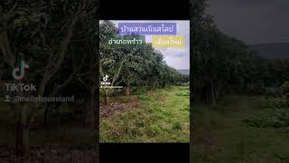 🏠🌿ด่วน! ขายบ้านสวนพร้าว มีต้นลำไย มะม่วง #วิวทุ่งนา #วิวภูเขา #ธรรมชาติ #พร้าว #ที่ดินเชียงใหม่