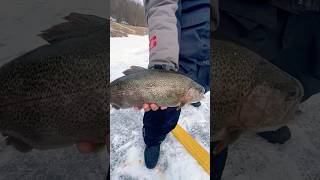 ICE FISHING SUCKS…… 🙄 #shorts #icefishing #troutfishing