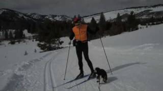 Scout's  First Nordic  Ski Adventure