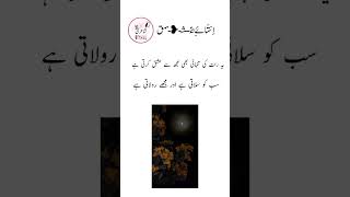 یہ رات کی تنہائی بھی مجھ سے عشق کرتی ہے سب کو سلاتی ہے اور مجھے رولاتی ہے