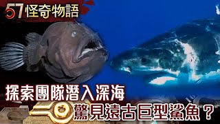 探索團隊潛入深海 驚見遠古巨型鯊魚？【57怪奇物語】夏浩源