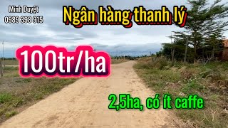 Gấp hàng thanh lý 100tr/ha có caffe xem ngay xem ngay.