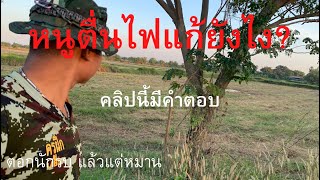 หนูตื่นไฟ ไม่เข้าตอก!! แก้ยังไง? คลิปนี้มีคำตอบ#สั่นตอก #ตอกสั่นหนู #หนูนา #ทุ่งนา #หนูพุก