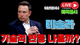 02/12 수 ( 실시간 라이브 ) 테슬라 기술적 반등 나올까? I 미국주식 대응 및 전략