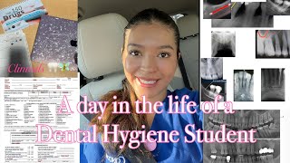 A day in the life of a DENTAL HYGIENE STUDENT (TERM 8)