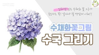수채화 수국 그리기 _ 입체감 있는 수국 그림 그리기 방법과 스케치와 채색의 명암 이해 _ 예쁘게 수채화 그리기 _ 물고기아트 수채화 그림 강좌