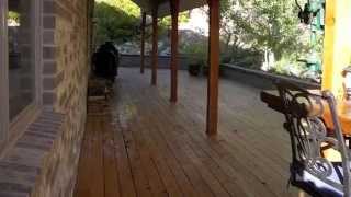 Port Orford Cedar Decking