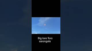 big Tora Tora kite #shorts #papagayo #sarangola #kite #saranggolavlog #bulador