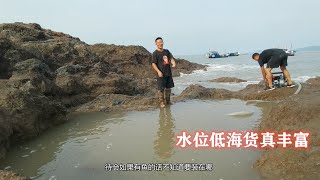 【小郭赶海】海边7米圆坑稀奇海货相聚，上演“双龙聚会”霸占水坑，这场面很少见