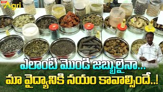 Tribal Medicines | ఎలాంటి మొండి జబ్బులైనా.. మా వైద్యానికి నయం కావాల్సిందే Kisan Expo 2024 | ToneAgri