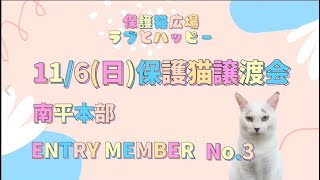 【保護猫広場】11月6日合同譲渡会参加ニャンズ＠南平その３【ラブハピ】