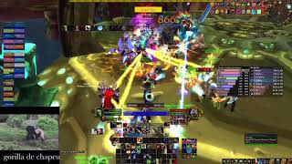 VOD Review Serpentshrine Cavern (SSC) - Rank 3 BM Hunter DPS - TBC