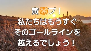 2025年1月3日　今年が皆さんにとって最高の年になりますように👼💕✨🌈