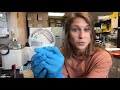 567L: Analyzing Bacterial Growth from your Streak Plates