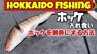 北海道積丹ホッケ釣り fishing 船釣り ホッケの刺身 アニサキス