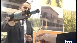 Vinitaly 2013 - Sannio e Lametia Dop, siglato l'accordo fra i consorzi