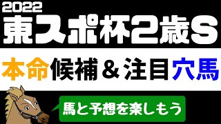 【東京スポーツ杯2歳ステークス2022 予想】注目馬紹介 本命候補と注目穴馬【バーチャルサラブレッド・リュウタロウ/競馬Vtuber】