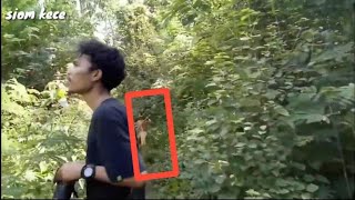 HEBOH!! Lagi lagi Suku MANTE Tunjikin diri di Hutan aceh