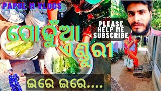 ପୋଢୁଁଆ ଏଣ୍ଡୁରୀ 🙄 👍 ଇରେ ଇରେ // papul m vlogs // please subscribe