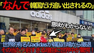 【海外の反応】「なんで韓国だけ追い出されるの!?」adidasが韓国市場から撤退、その当たり前すぎる理由に世界中が驚愕！ 日本  japan  #日本 #japan #中国 #海外の反応 #海外