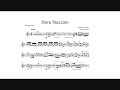 Grigoras Dinicu: Hora Staccato (Matthias Höfs, trumpet)