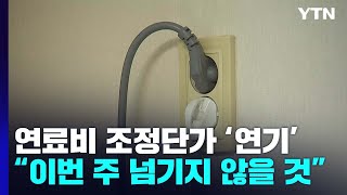 정부, 전기요금 조정단가 결정 연기...인상 폭 '고심' / YTN