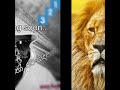 Sony lion