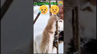 UFF I cried for him 😥😫#viral #viralvideo #shorts