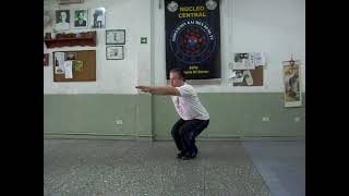 Qigong básico - Ejercicio de Dragón nadando - Profesor Horacio Di Renzo - Asociación Kai Men